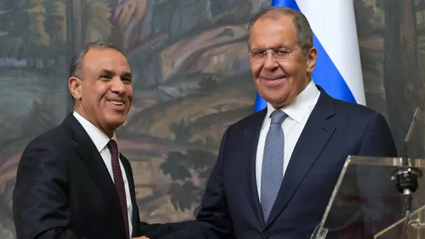 埃及外长：俄埃共同致力于预防波斯湾地区冲突蔓延 - 俄罗斯卫星通讯社