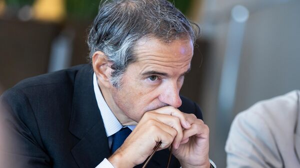 國際原子能機構總幹事格羅西 - 俄羅斯衛星通訊社