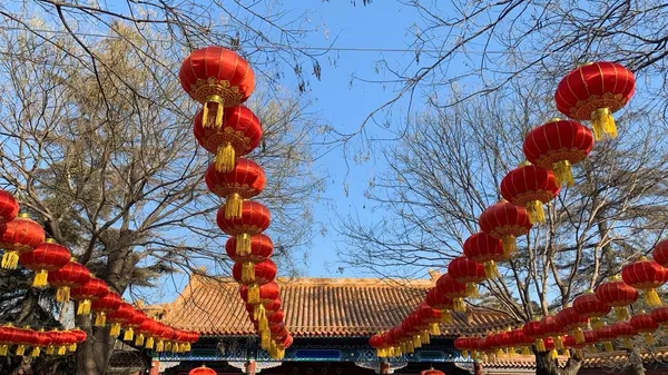 春節申遺成功：助力中國文化全球影響力的提升與傳播 - 俄羅斯衛星通訊社