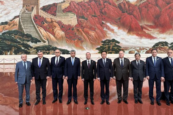 梅德韦杰夫在北京参观中国共产党历史展览馆 梅德韦杰夫在北京参观中国共产党历史展览馆 - 俄罗斯卫星通讯社