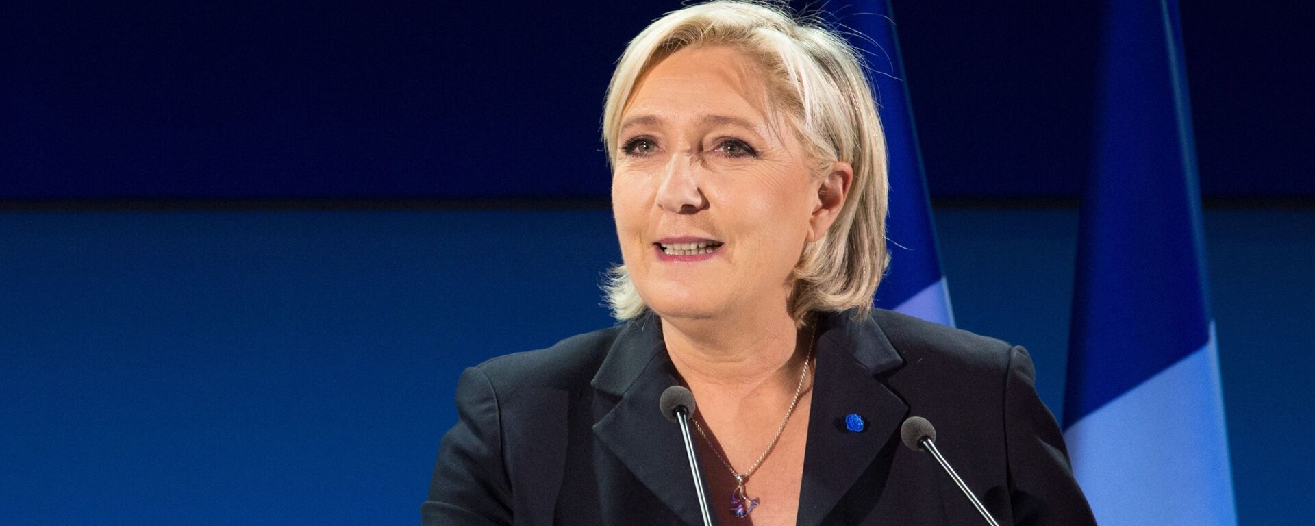 玛丽娜·勒庞 - 俄罗斯卫星通讯社, 1920, 20.12.2024