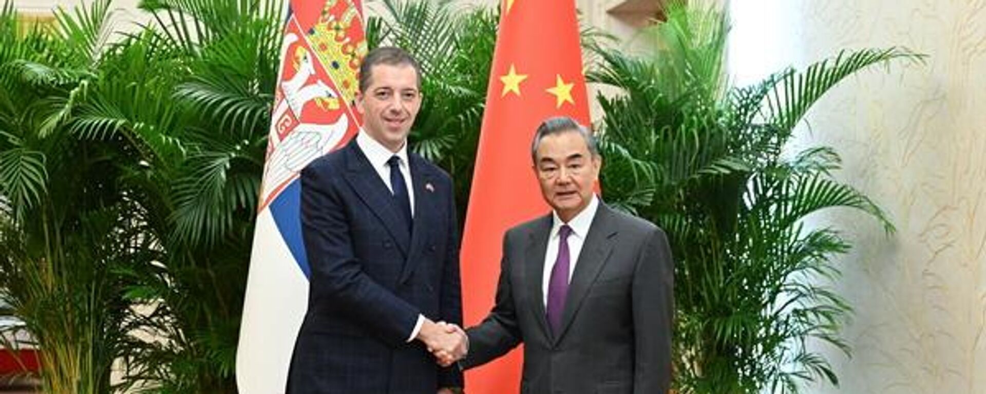 王毅同塞爾維亞外長久里奇舉行會談 - 俄羅斯衛星通訊社, 1920, 21.12.2024