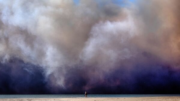 加州大火（资料图片） - 俄罗斯卫星通讯社