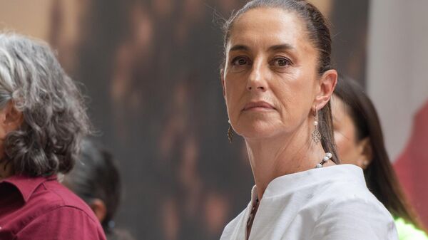 墨西哥总统称正考虑对华加征关税，中方：坚决反对在他人胁迫下以各种名目对华设限 - 俄罗斯卫星通讯社