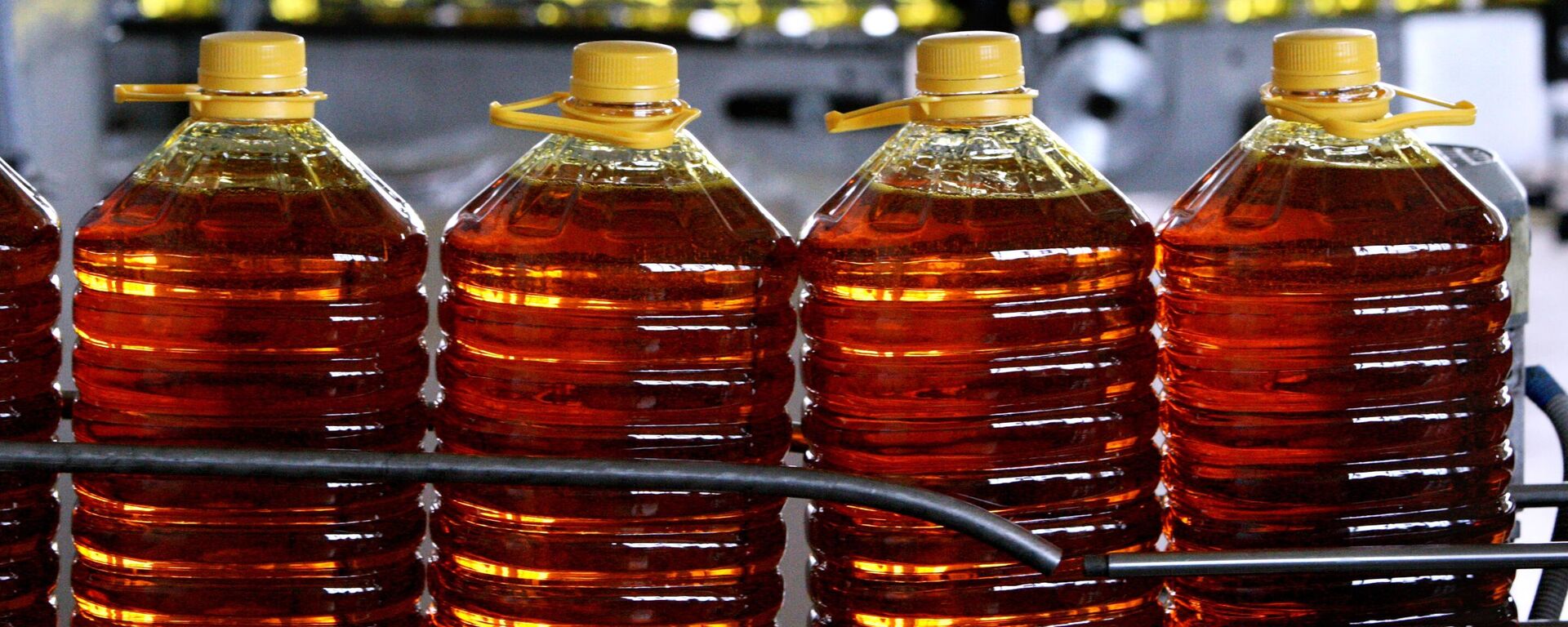 大豆油 - 俄罗斯卫星通讯社, 1920, 02.09.2025