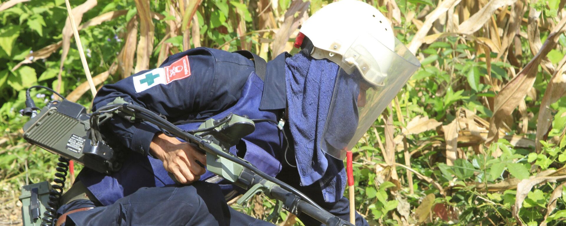 柬埔寨地雷 - 俄罗斯卫星通讯社, 1920, 12.08.2025