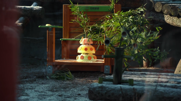 中國專家代表團高度評價莫斯科動物園大熊貓飼養條件 - 俄羅斯衛星通訊社