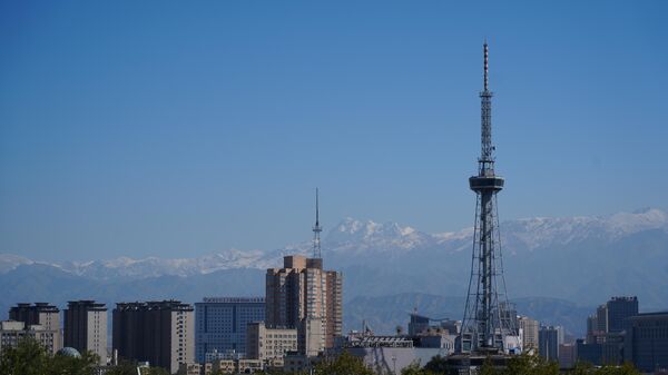 中国乌鲁木齐（资料图片） - 俄罗斯卫星通讯社