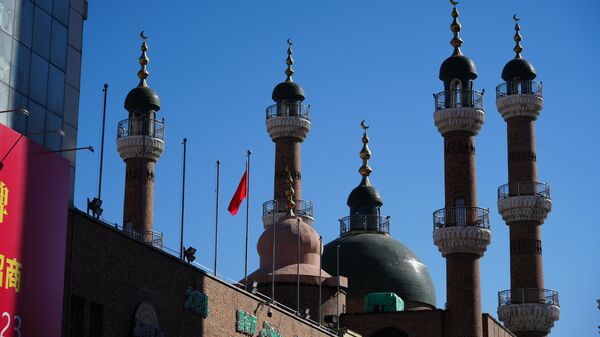 中国新疆发生5.1级地震 - 俄罗斯卫星通讯社