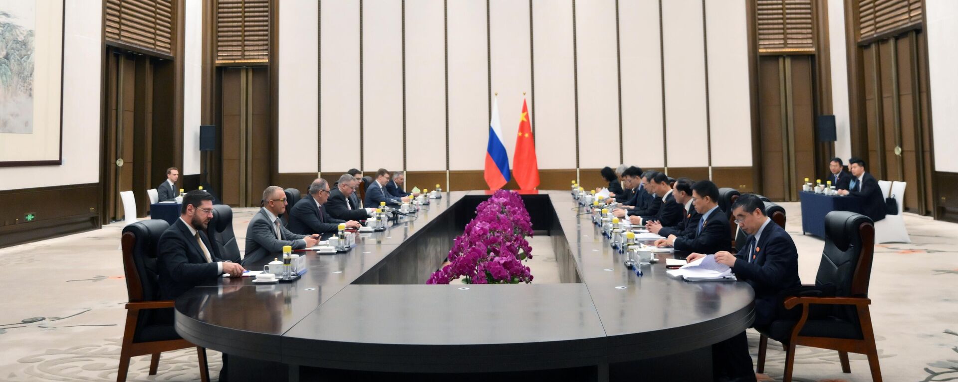 俄罗斯副总理阿列克谢·奥韦尔丘克会见中国国务院副总理丁薛祥 - 俄罗斯卫星通讯社, 1920, 27.03.2025