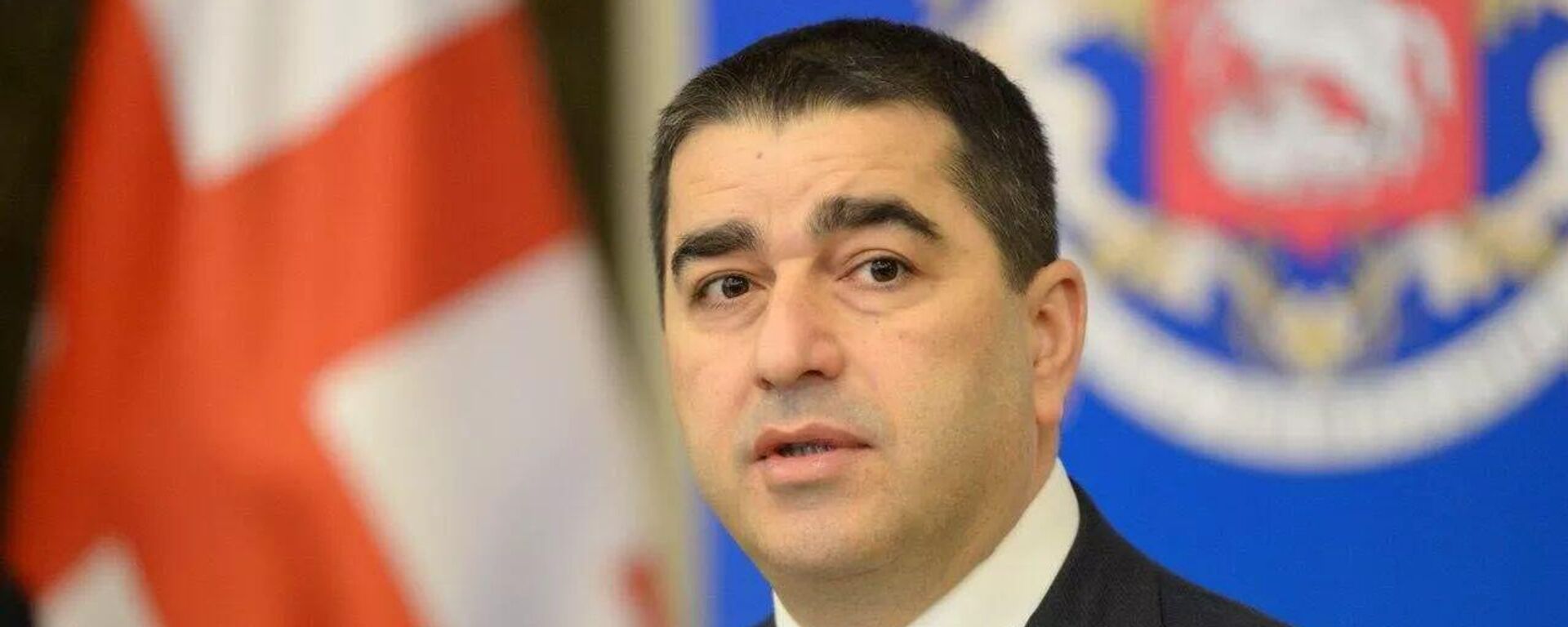 格鲁吉亚议长帕普阿什维利 - 俄罗斯卫星通讯社, 1920, 08.04.2025