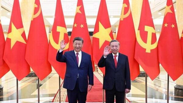  习近平同越共中央总书记苏林举行会谈 - 俄罗斯卫星通讯社