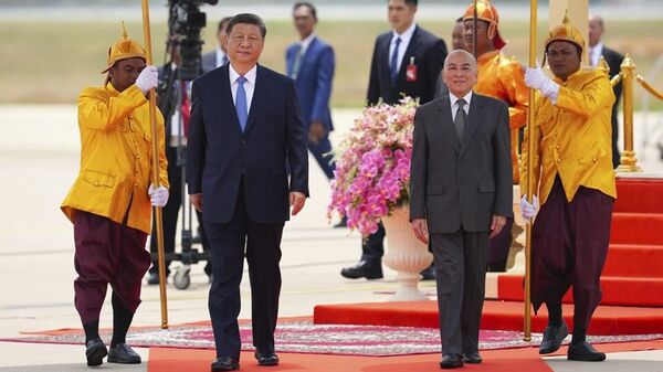 中国国家主席习近平和柬埔寨国王西哈莫尼 - 俄罗斯卫星通讯社