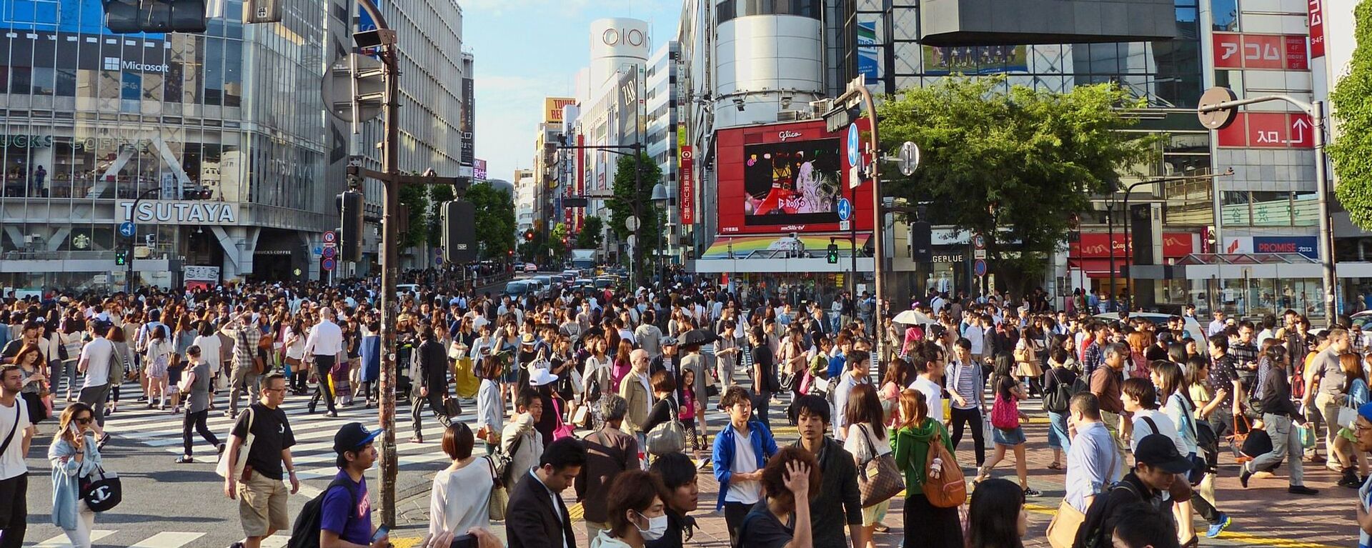 日本人 - 俄羅斯衛星通訊社, 1920, 05.04.2026