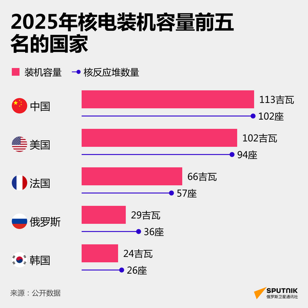 中国核电总体规模 - 俄罗斯卫星通讯社