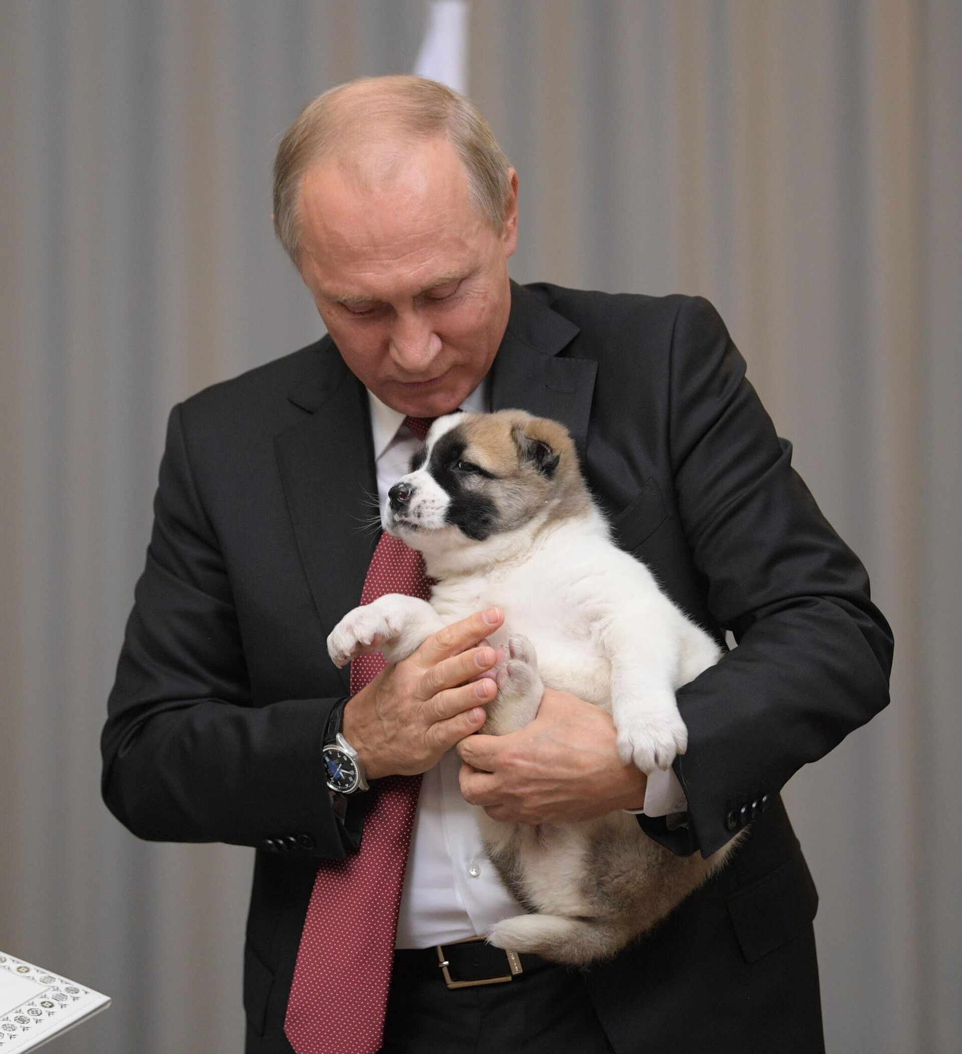 40 Президент РФ В. Путин встретился с президентом Туркмении Г. Бердымухамедовым - 俄罗斯卫星通讯社, 1920, 07.05.2025