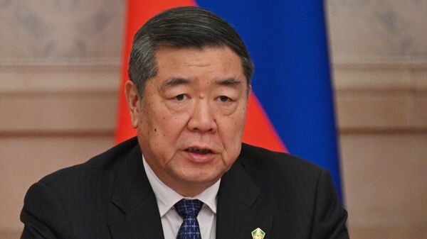 中国国务院副总理何立峰 - 俄罗斯卫星通讯社