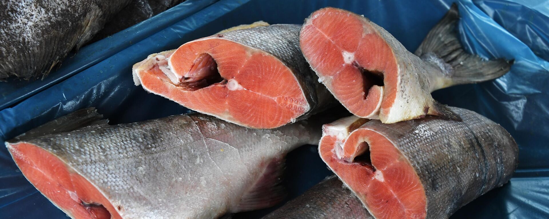 俄农业部准备扩大对中国市场的粮食供应 - 俄罗斯卫星通讯社, 1920, 03.09.2025