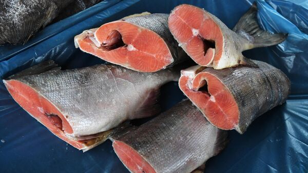 2025年前8个月滨海边疆区对华水产品出口超60万吨 - 俄罗斯卫星通讯社