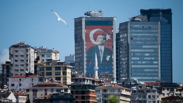 土耳其 - 俄罗斯卫星通讯社