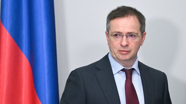 Владимир Мединский - 俄罗斯卫星通讯社