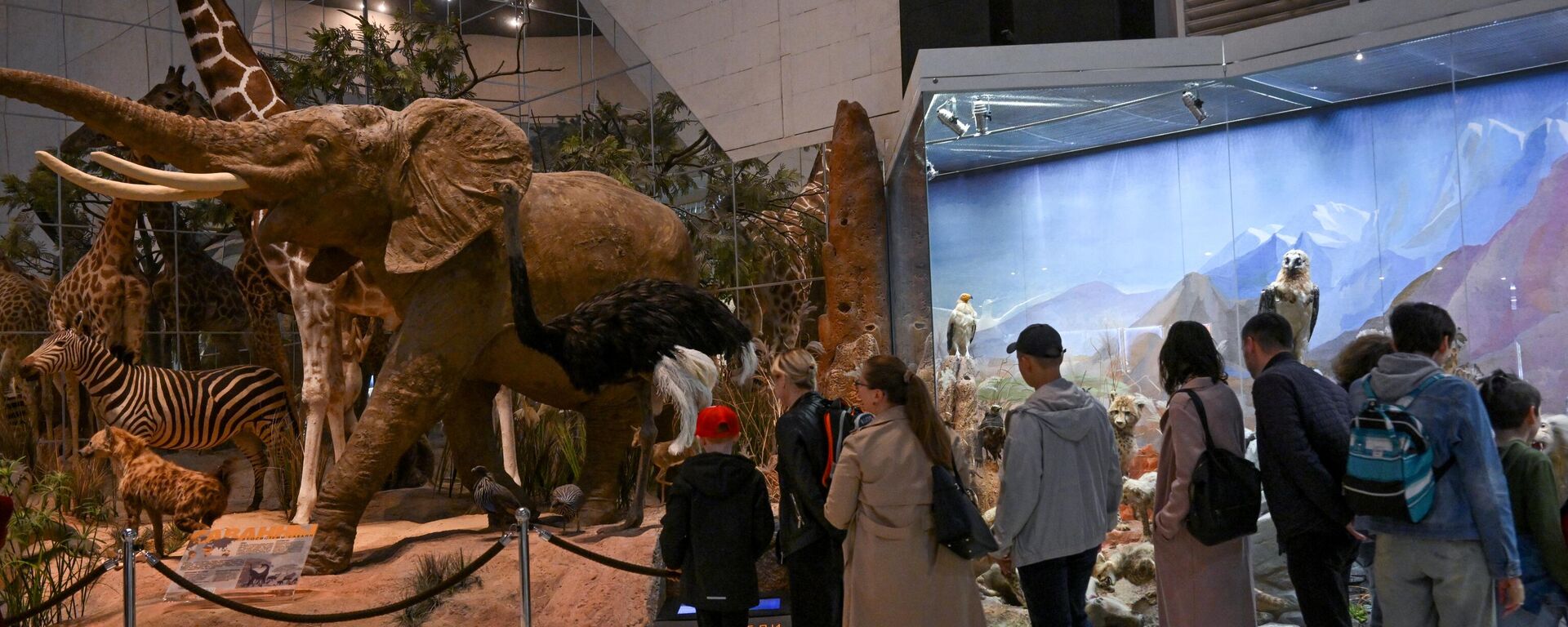 金砖国家科学博物馆协会在莫斯科宣告成立 - 俄罗斯卫星通讯社, 1920, 01.11.2025