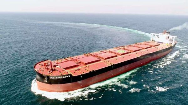 營救俄羅斯探險家費奧多爾·科紐霍夫的中國ORE HONG KONG輪 - 俄羅斯衛星通訊社