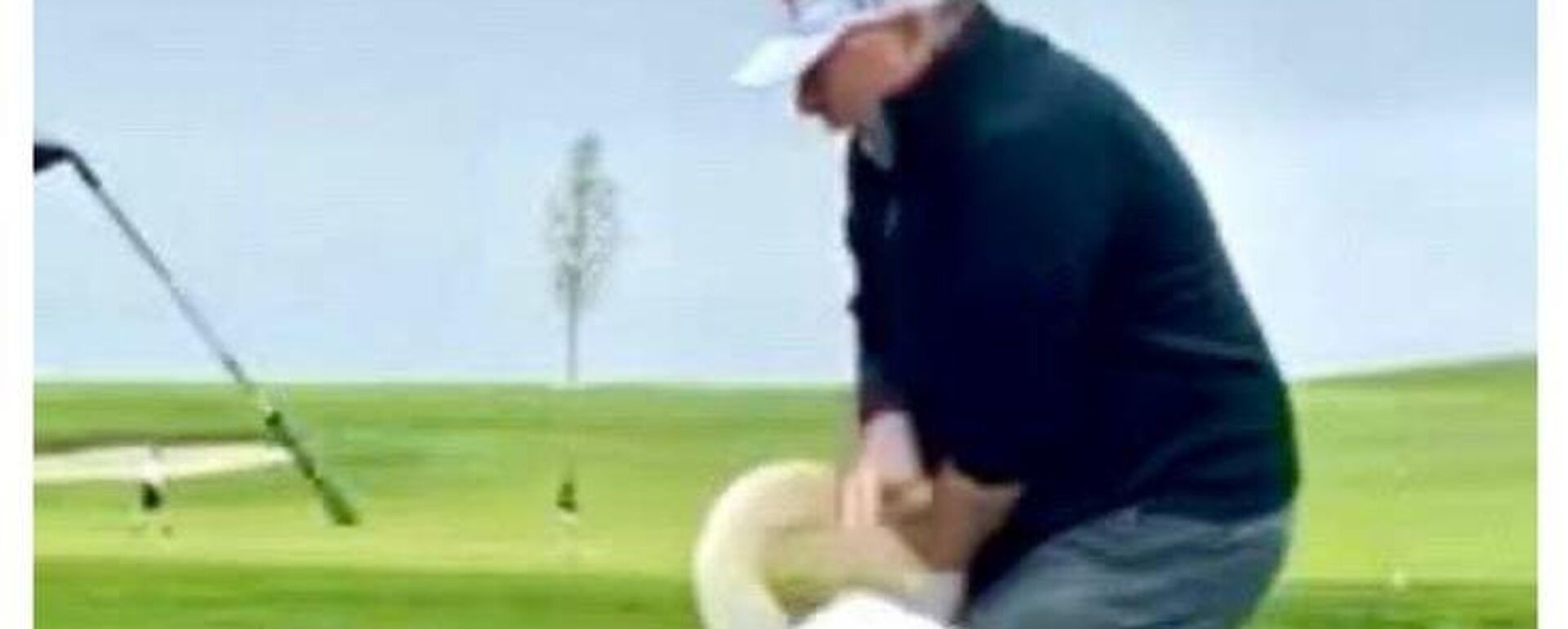 美国总统分享高尔夫俱乐部趣闻：友人遭天鹅“袭击” - 俄罗斯卫星通讯社, 1920, 26.05.2025