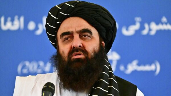 阿富汗外交部长阿米尔·汗·穆塔基 - 俄罗斯卫星通讯社