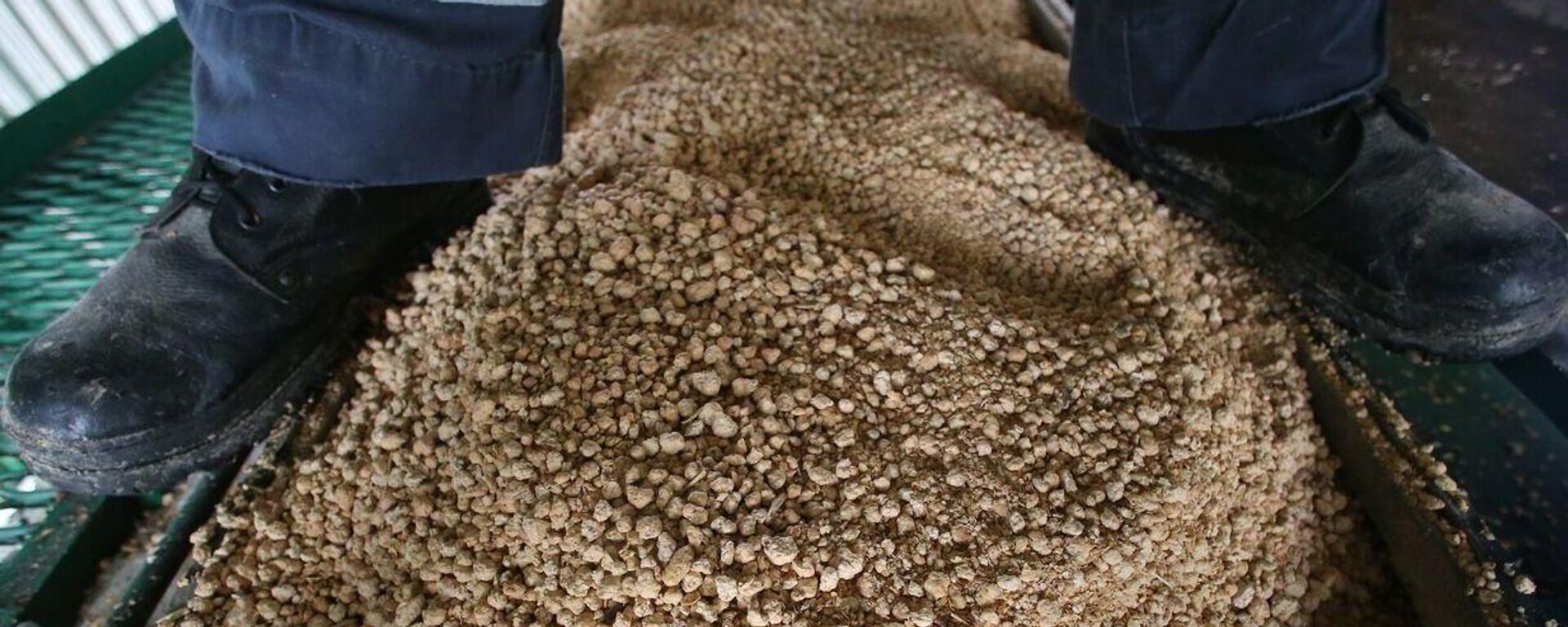 俄农产品出口发展中心：2025年中国成为俄大豆粉最大买家 - 俄罗斯卫星通讯社, 1920, 12.03.2026