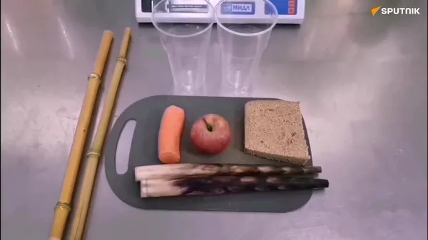 莫斯科动物园为大熊猫制作“冰棒”解暑消夏 - 俄罗斯卫星通讯社