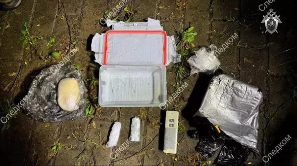 在莫斯科挫敗一起受命基輔策劃的恐襲 嫌犯已被拘捕 - 俄羅斯衛星通訊社