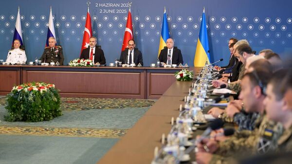 在伊斯坦布爾舉行的談判 - 俄羅斯衛星通訊社