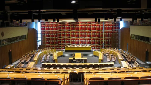 委常驻联合国代表：真正的威胁并非委内瑞拉，而是美国现政府 - 俄罗斯卫星通讯社