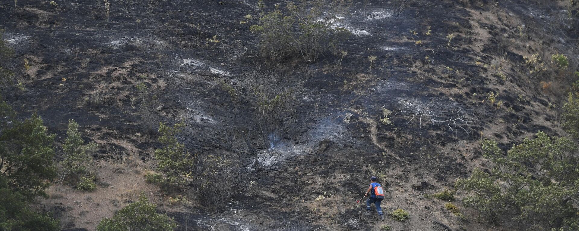 俄羅斯森林消防部門一晝夜內撲滅54起森林火災 - 俄羅斯衛星通訊社, 1920, 09.06.2025