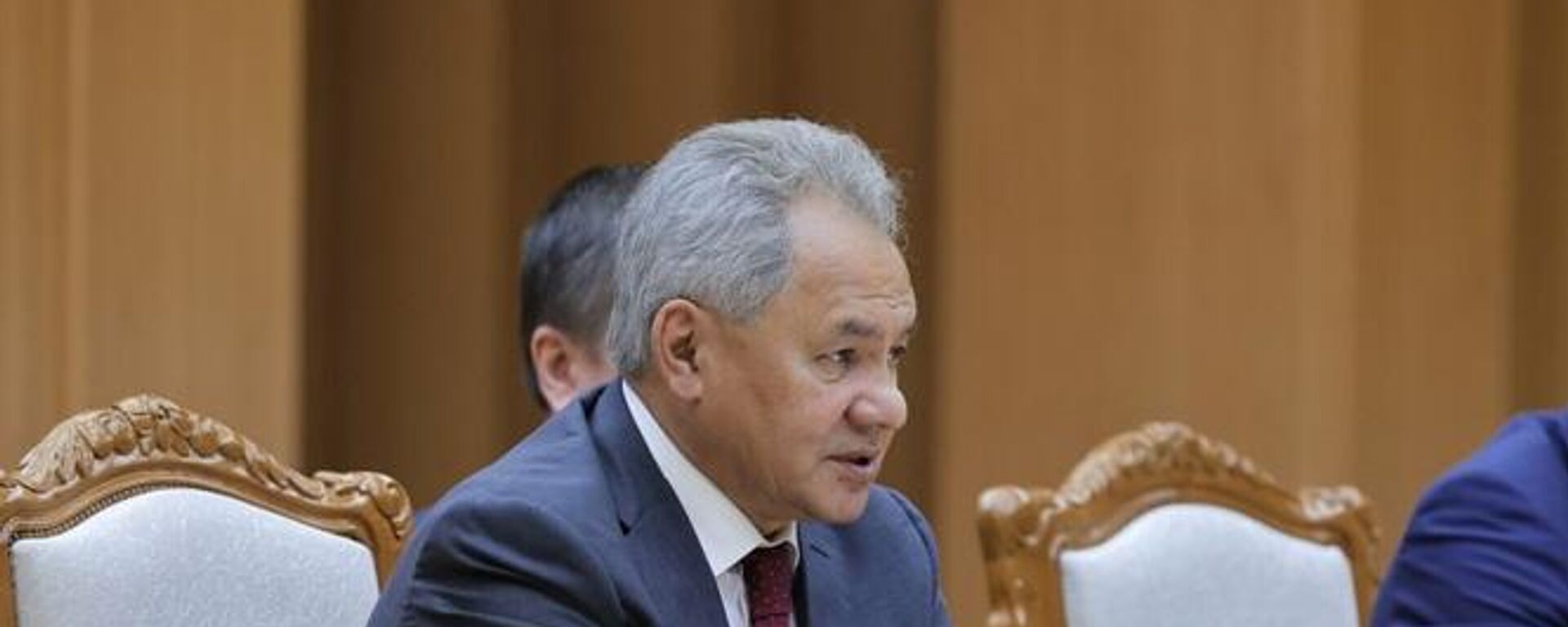 绍伊古表示将访问北京参加俄中安全磋商 - 俄罗斯卫星通讯社, 1920, 29.05.2026