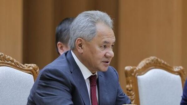 俄安全会议秘书：莫斯科和东京关系全面正常化可能需要数年时间 - 俄罗斯卫星通讯社