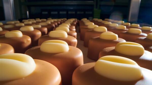 莫斯科增加食品出口 - 俄罗斯卫星通讯社