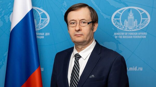 德米特里·扎沃林 - 俄罗斯卫星通讯社