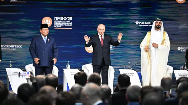 俄總統普京在2025年聖彼得堡國際經濟論壇全會發表講話 - 俄羅斯衛星通訊社