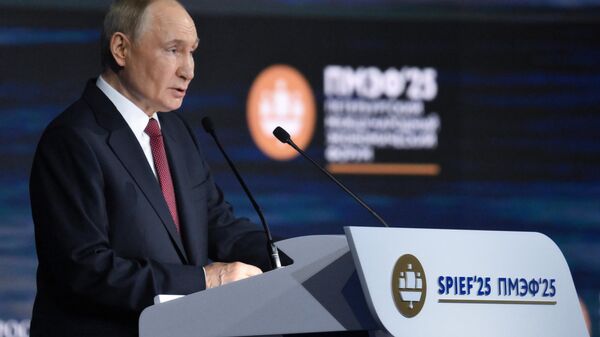 普京總統在聖彼得堡國際經濟論壇全會上的演講已正式開始 - 俄羅斯衛星通訊社