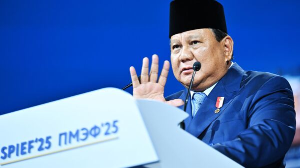 印尼总统 - 俄罗斯卫星通讯社