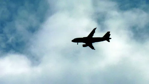 Airbus A320 - 俄羅斯衛星通訊社
