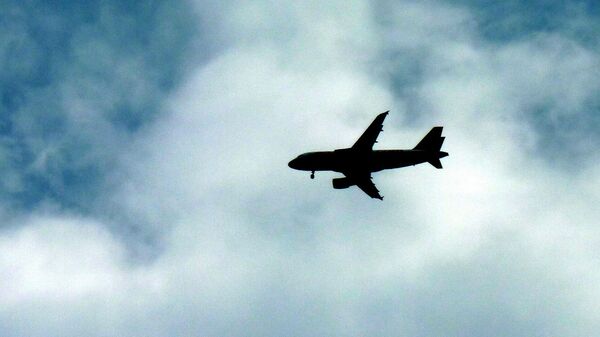 Airbus A320 - 俄罗斯卫星通讯社