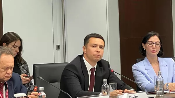俄羅斯直接投資基金副總裁安東·丹欽尤 - 俄羅斯衛星通訊社