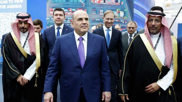 俄罗斯总理米舒斯京 - 俄罗斯卫星通讯社