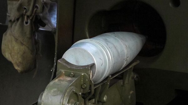 俄国防部：俄军一天在特别军事行动中解放两居民点 - 俄罗斯卫星通讯社