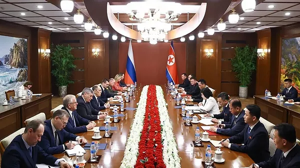 俄外交部：俄外長與朝鮮外相商討後續接觸的時間表 - 俄羅斯衛星通訊社