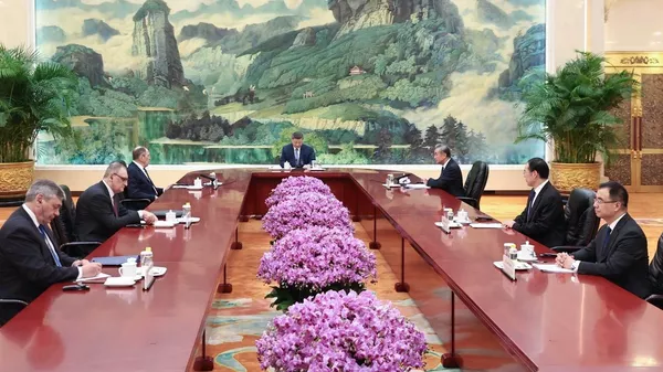 習近平：中俄應加強在多邊平台上的相互支持 - 俄羅斯衛星通訊社