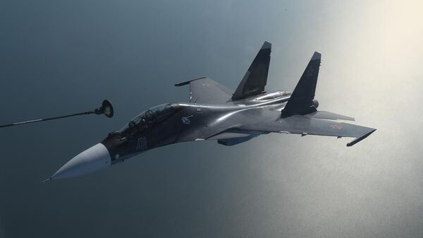 俄羅斯航空兵 - 俄羅斯衛星通訊社